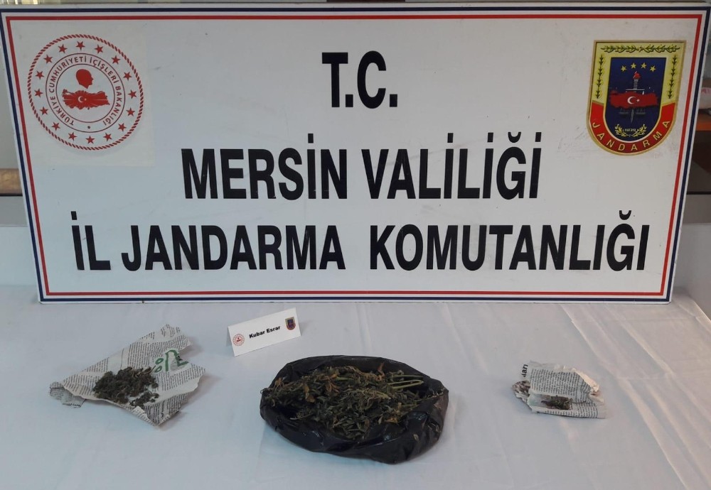 Tarsus’ta 250 gram esrar ele geçirildi 