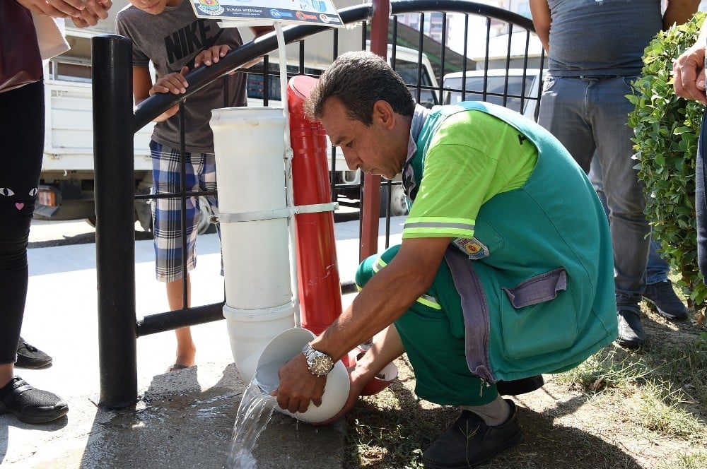 Tarsus’ta sokak hayvanlarına özel suluk ve mama kapları 