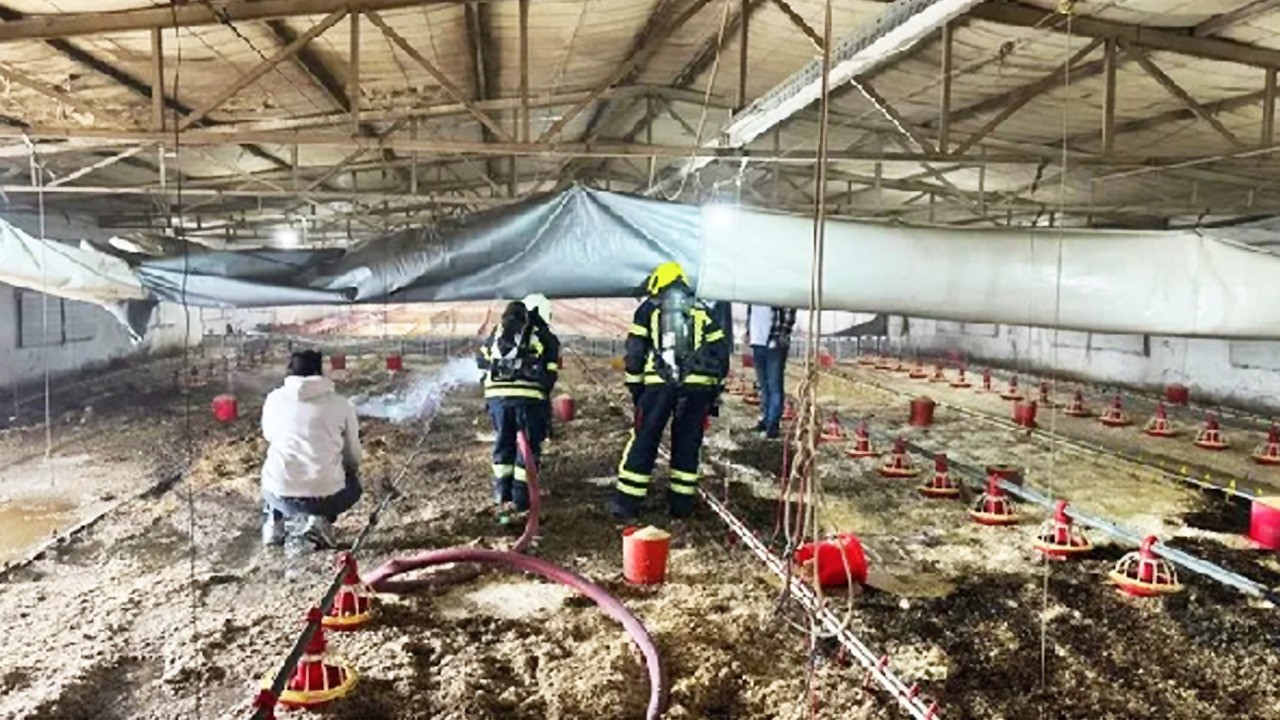 Tarsus'ta tavuk üretim tesisleri yandı!
