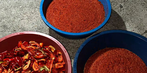 Taş gibi domates salçası nasıl yapılır?