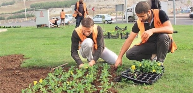 Taşerona kadro martta