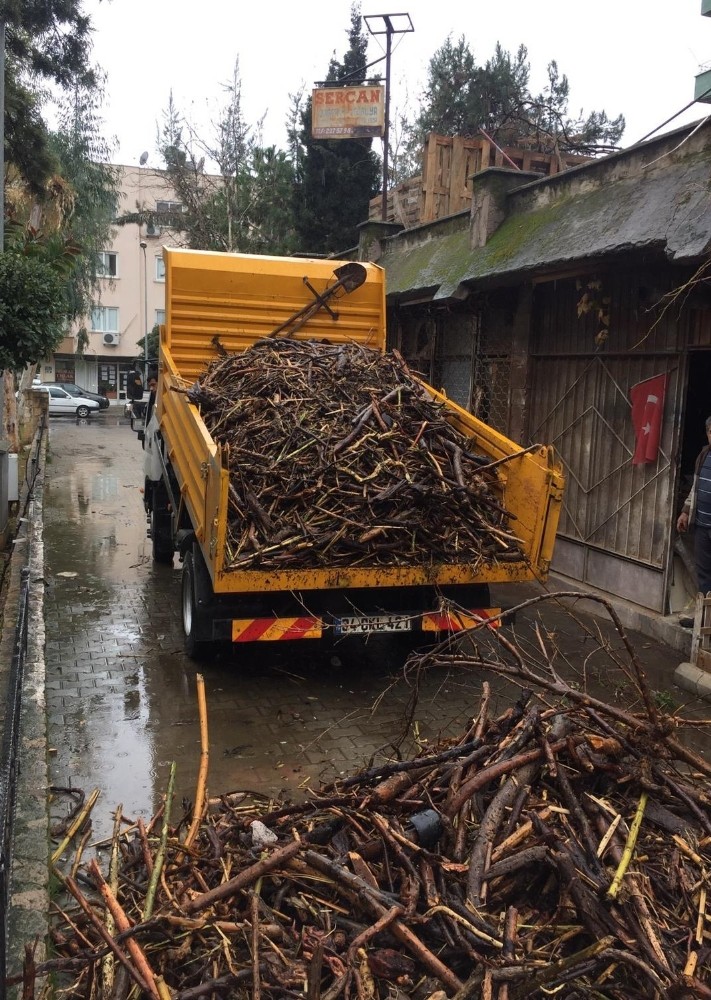 Taşkınlarla sahile dolan odunlar, ihtiyaç sahiplerine dağıtılacak 