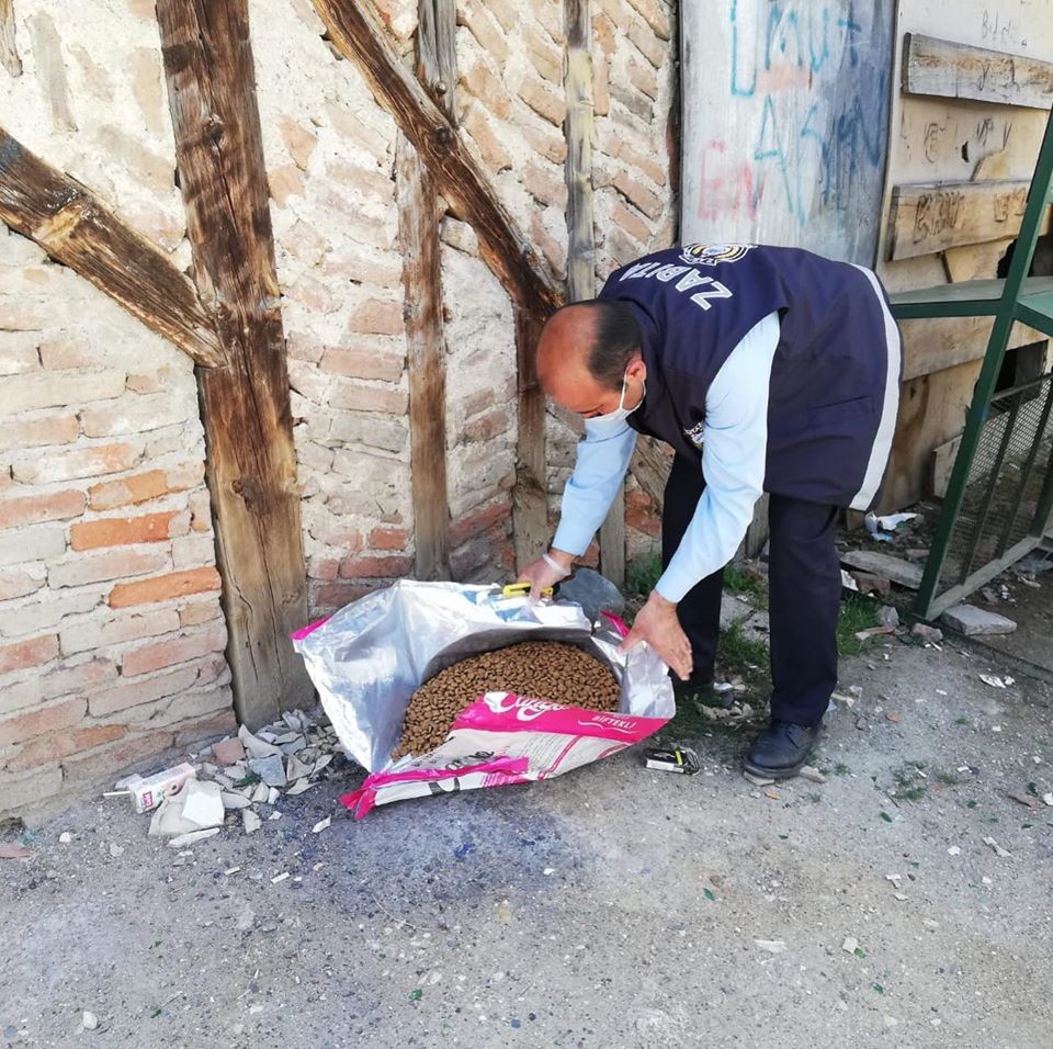 Taşköprü Belediyesi, sokak hayvanlarını besledi 