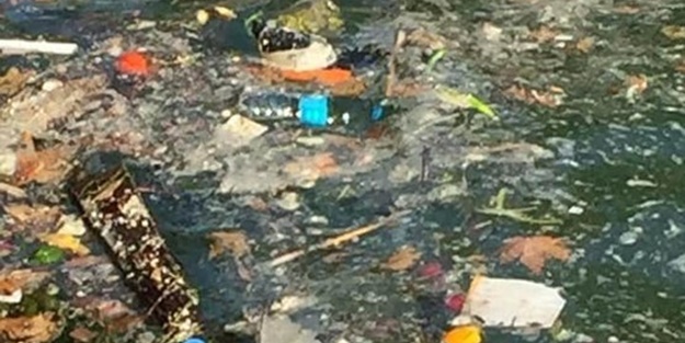 Tatil cennetinde deniz çöplüğe döndü! CHP'li belediye izledi
