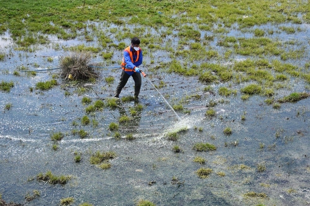 Tatvan Belediyesi larva üreme noktalarını ilaçlıyor 