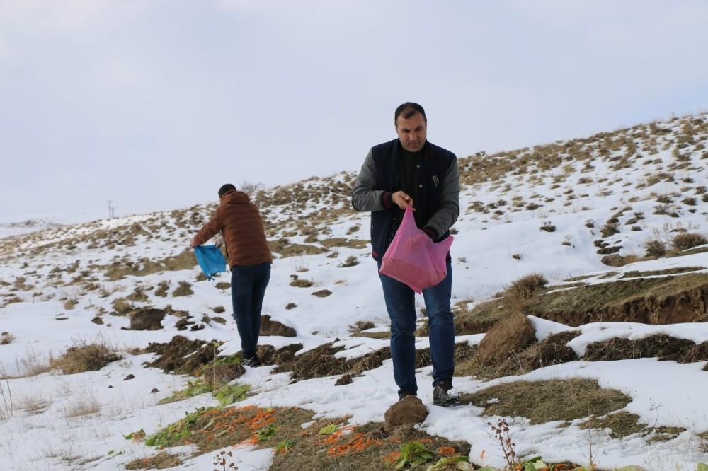 Tatvan’da yabani hayvanlar için doğaya yiyecek bırakıldı 