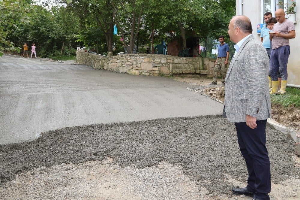 Tavlı: 