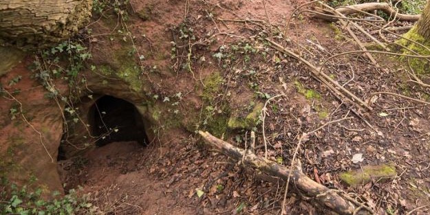 Tavşan deliğinden öyle bir şey çıktı ki herkes şok oldu!