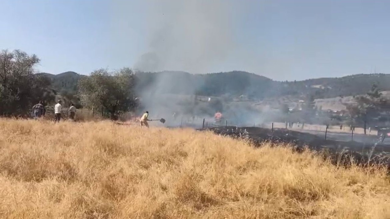 Tavşanlı’da otluk alanda yangın