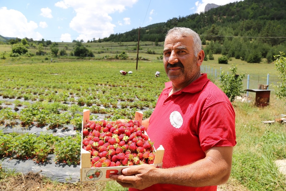 Tavsiye üzerine başladılar şimdi siparişlere yetişemiyorlar 