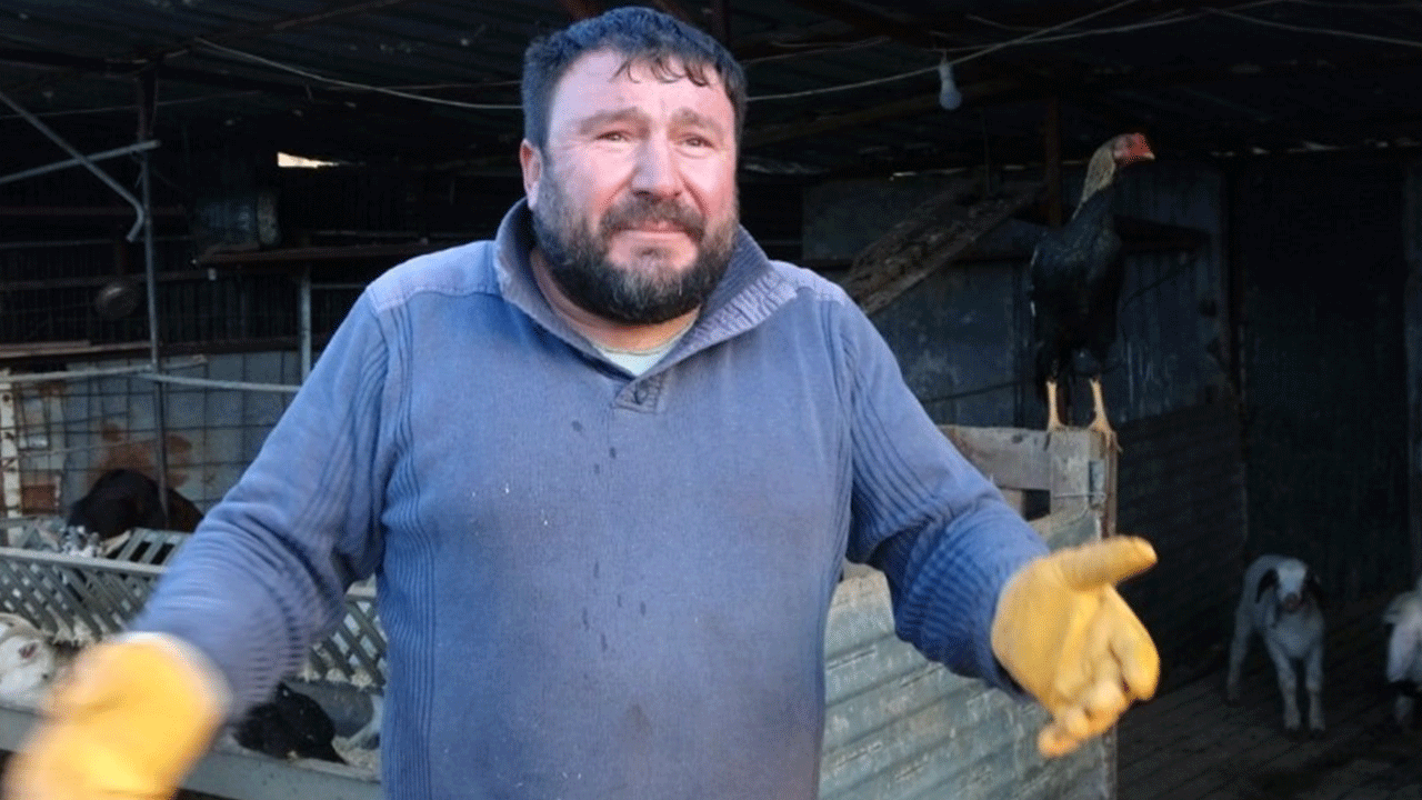 Tavuğunu kapan tilkiye söylediği sözler gündem oldu!