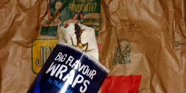 Tavuk dürümünün içinden kurbağa çıktı