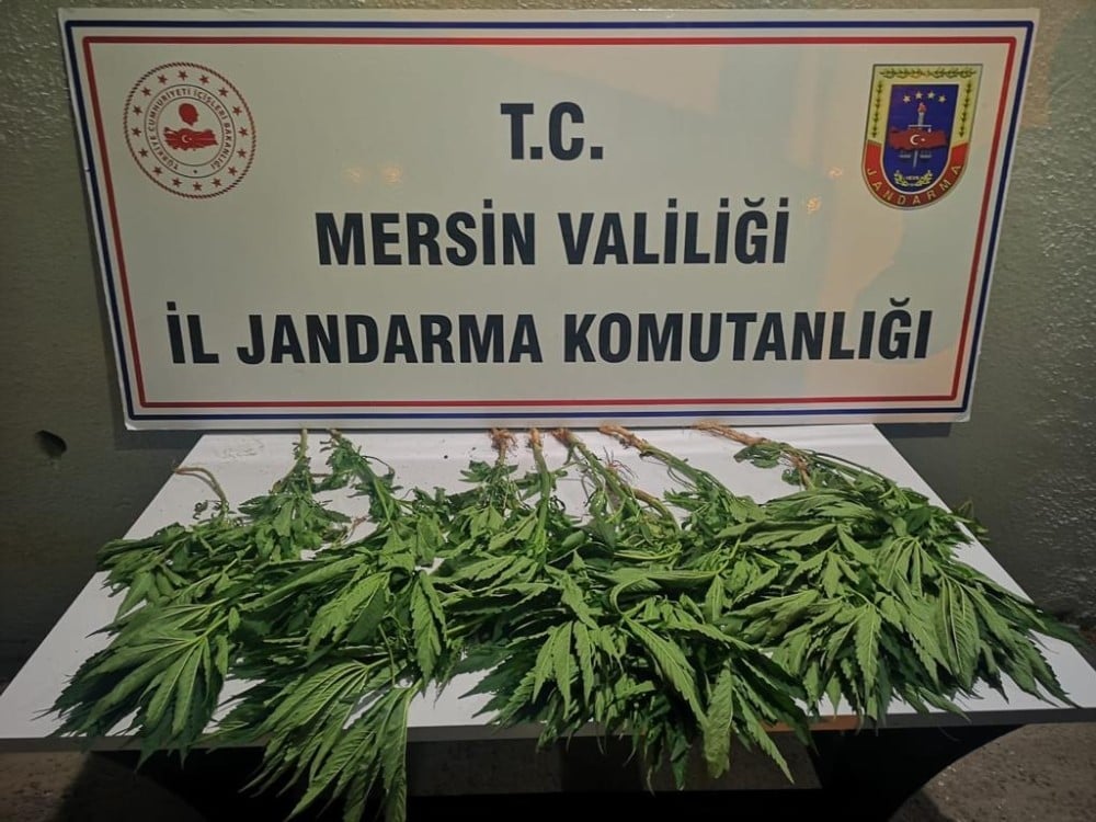 Tavuk kümesi etrafına kenevir ekmiş 