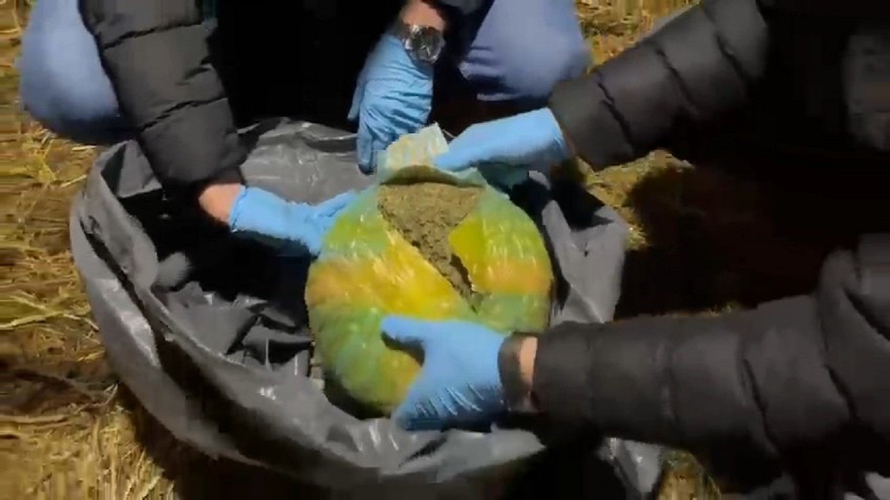 Tavuk kümesinden çıkanlar hayrete düşürdü