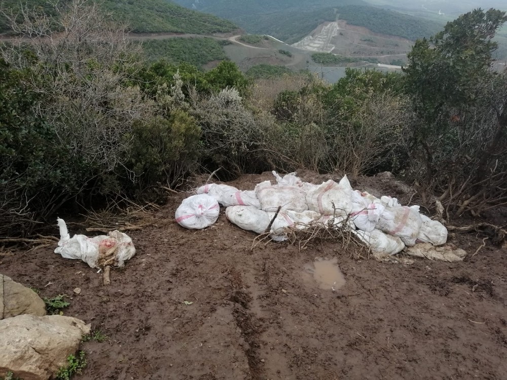 Tavuk ölülerini çuvala koyup araziye attılar 