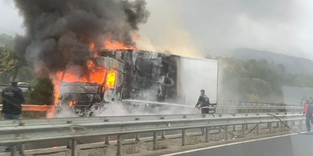 Tavuk yüklü TIR küle döndü