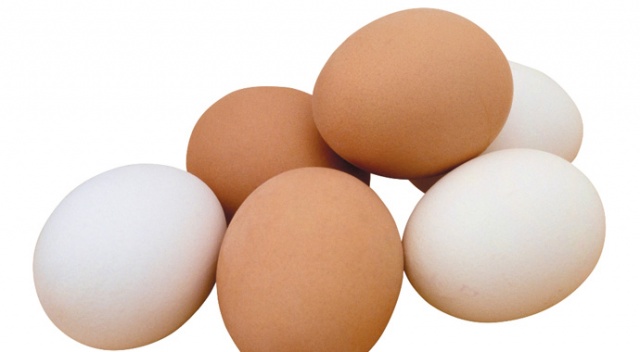 Tavuk yumurtası üretim sayısı düştü