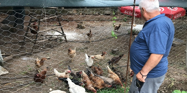 Tavukçulukta son nokta: O yöntemle yumurta verimini 4'e katladı!