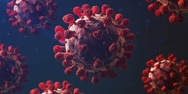 Tayland duyurdu! İlk kez görüldü