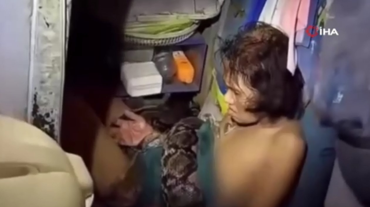 Tayland’da korkunç görüntü! 4 metrelik piton kadına saldırdı