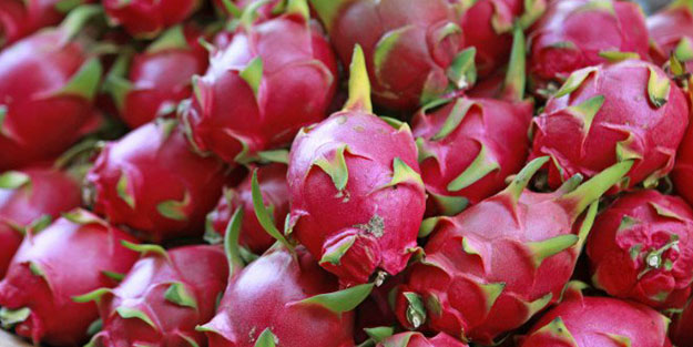 Tayland'da tadına baktı Aydın'da üretime geçti!