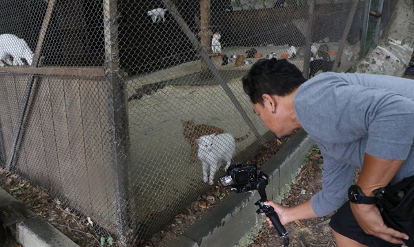 Taylandlılar Türkiye’de! Bu kasabayı görmek için Samsun’a geldiler