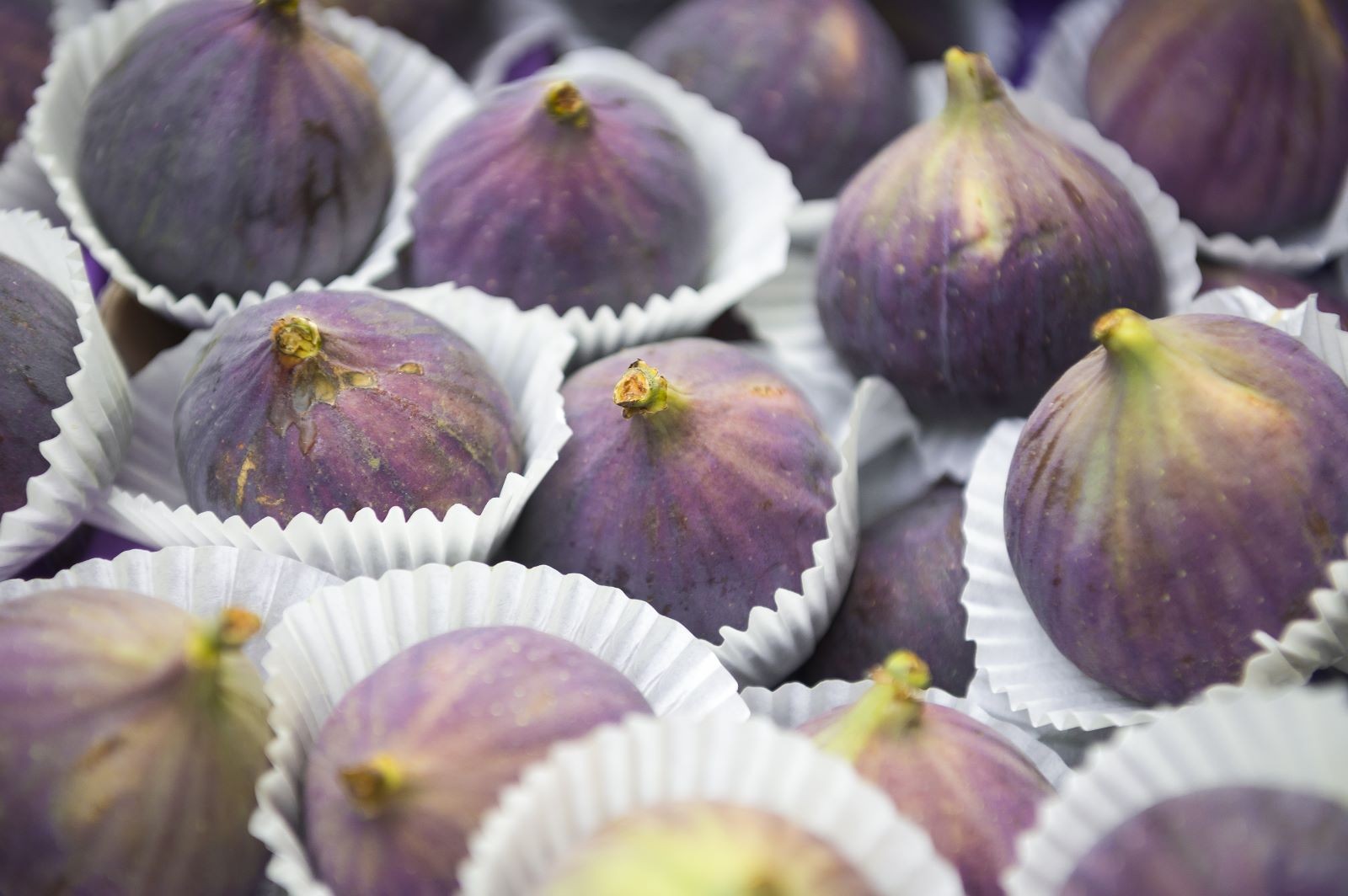 Taze incir ihracatında büyük hedef