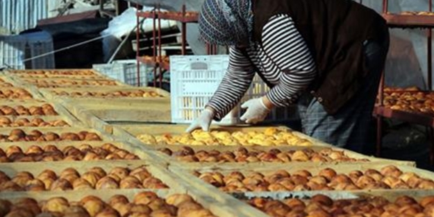 Tazesi 3, kurusu 30 TL'den alıcı buluyor