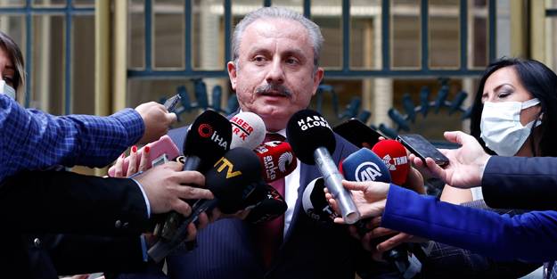 Şentop: Hayvanlara eziyete hapis cezası getirildi