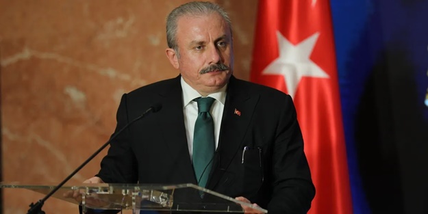 TBMM Başkanı Şentop: Referanduma sunulma mecburiyeti olabilir