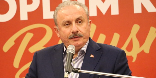 TBMM Başkanı Şentop'tan Prens Harry'nin skandal sözlerine tepki! 'Avrupalı beyaz çocuk, sen kimsin?'