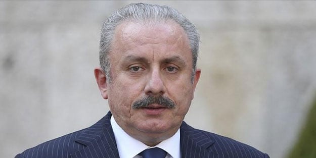 TBMM Başkanı Şentop'tan Rum temsilciye tokat gibi cevap: Senin yaşın yetmez
