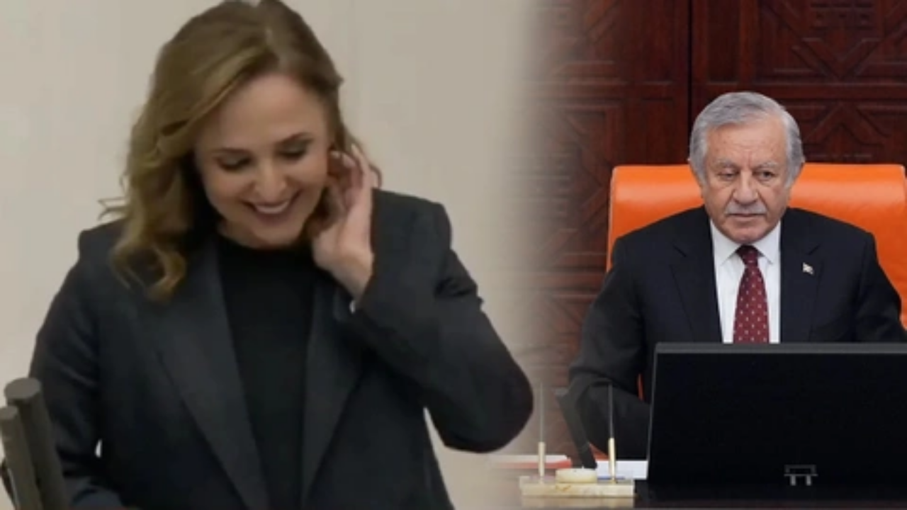 TBMM’de ilginç anlar! DEM Parti'nin ‘Kürtçe’ talebine MHP’den onay