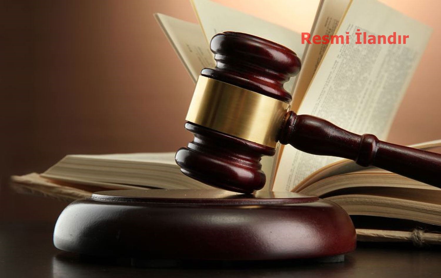 TC. FERİZLİ ASLİYE HUKUK MAHKEMESİ'NDEN