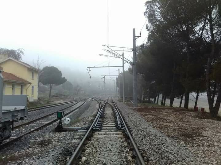 TCDD’den ilaçlama uyarısı 