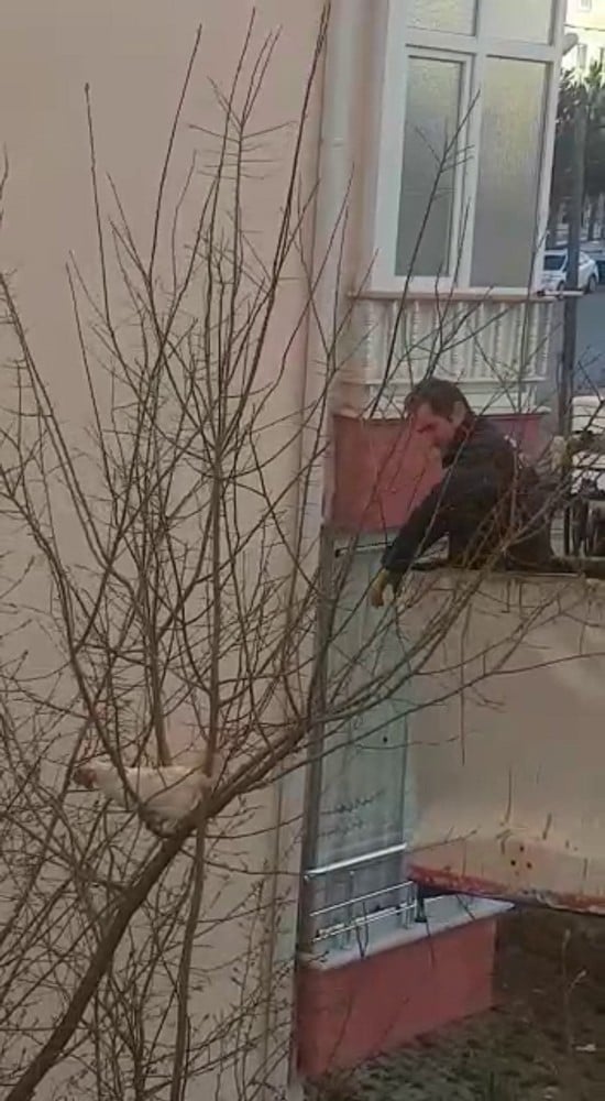 Tebessüm ettiren tavuk kurtarma operasyonu 