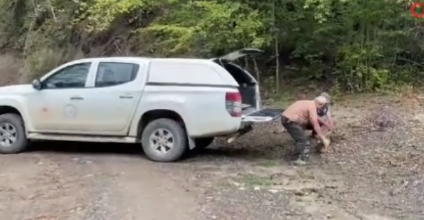 Tedavisi bitti, doğaya salındı