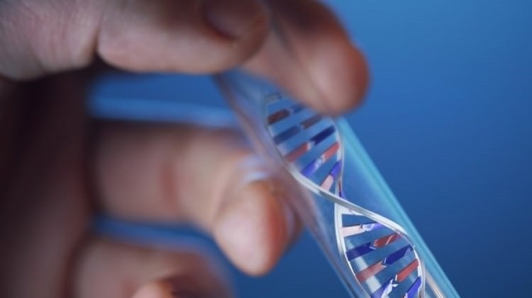 Tedavisi olmayan hastalıklar