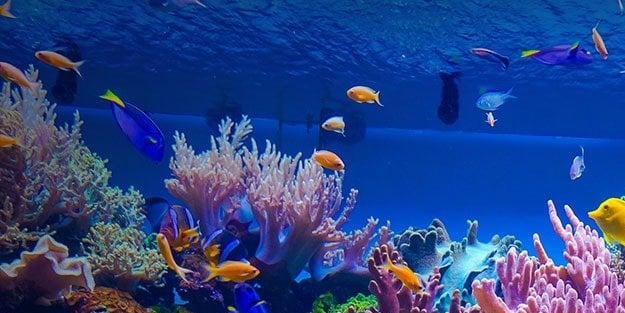 Tehlike: Dev iklim faturası... Hakkındaki tahminler artacağını gösteriyor