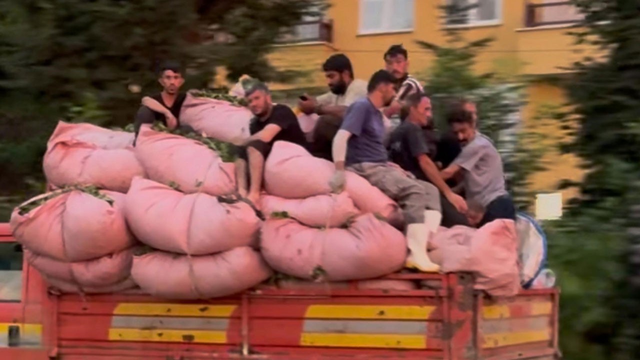 Tehlikeli yolculuk kamerada! Kamyon kasasında yok artık dedirten manzara