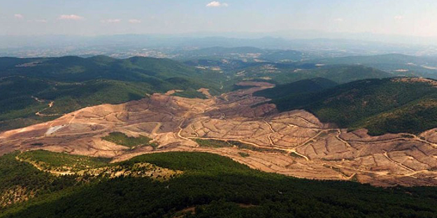 Tehlikeyi açıkladı! Bitkilerin uzmanından siyanür uyarısı