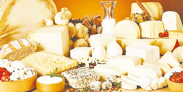 Tek çare: Yerli yem üretimi! İthal yem peynir fiyatlarını uçurdu