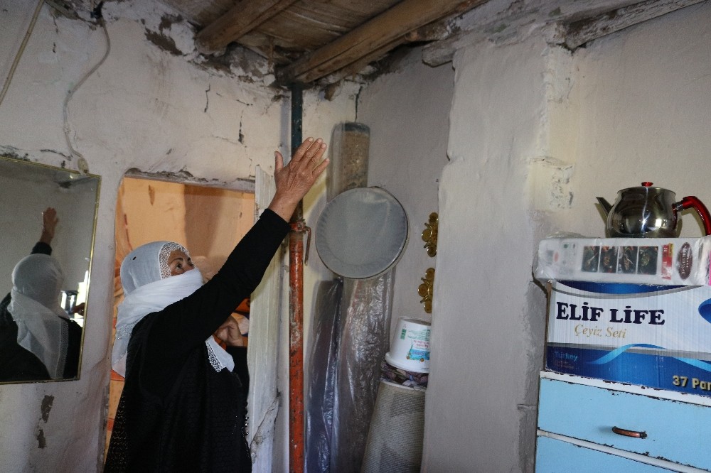 Tek gözlü evde yılanlarla yaşam mücadelesi veriyor 
