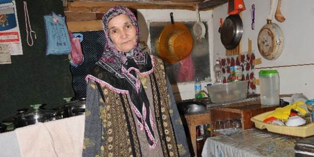 Tek isteği sıcak bir yuva