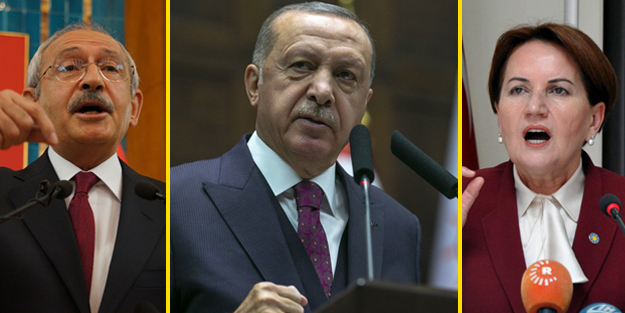 Tek tek okuyun ve karar verin! Kedi, aslan ve üç maymun