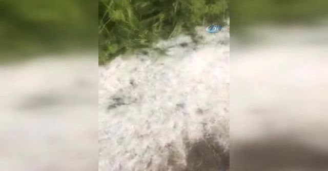 Tekirdağ’da tarlaları dolu vurdu
