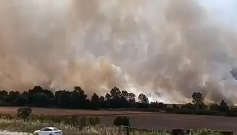 Tekirdağ’da 100 dönüm tarım arazisi yandı