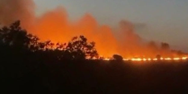 Tekirdağ'da 300 dönüm alan yandı