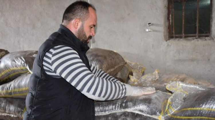 Tekirdağ'da 5 milyon solucan besleyip, gübre üretiyor