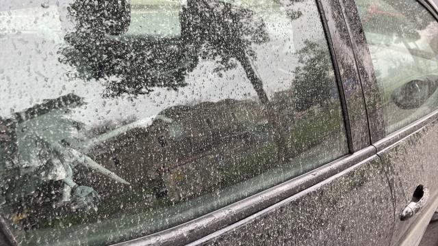 Tekirdağ'da çamur yağdı